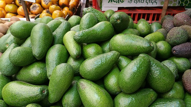 180322_pixabay_avocado-1151407