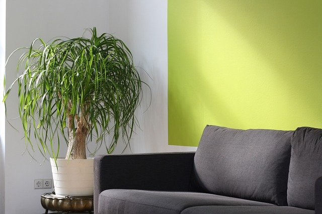 191216_pixabay_sofa-1696739