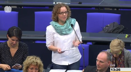 160921_Verlinden-Regierungsbefragung-Nahles-Stromkosten