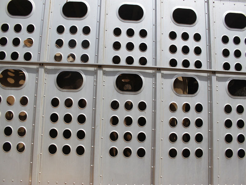180119_Transport-cow-2787519_1920_pixabay_CC0_Creative_Commons