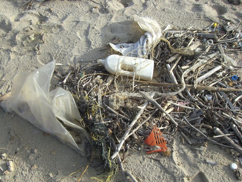 180913_Julia_Verlinden_Quelle_pixabay_waste-1433138_1920