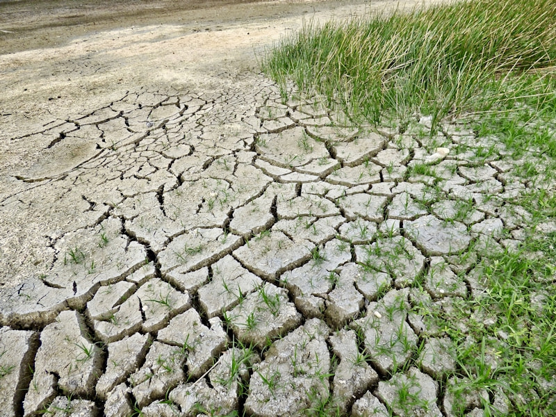 181219_Julia_Verlinden_Quelle_pixabay_climate-change-2241061_1920_web