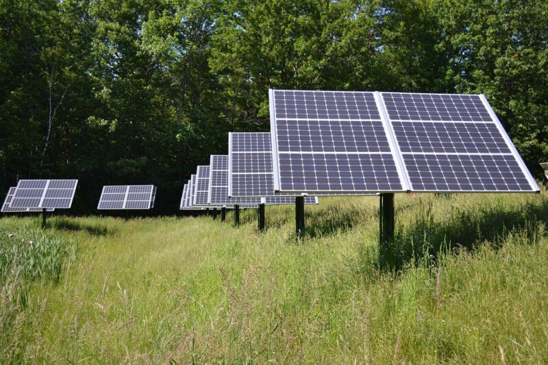 Photovoltaik-Anlagen auf einer wilden Wiese